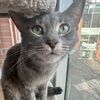 yasmin_12974